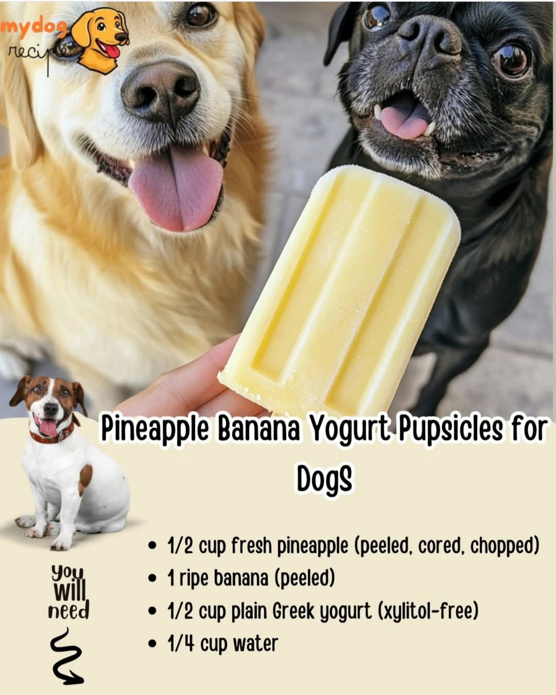 Beat the Heat, Keeping Your Furry Friend Cool This Summer + A Delicious Treat!