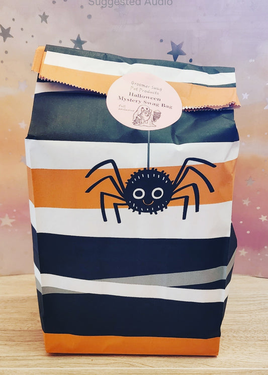 Halloween Mystery Swag Bag